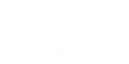 Logo_Villa del Conde.png