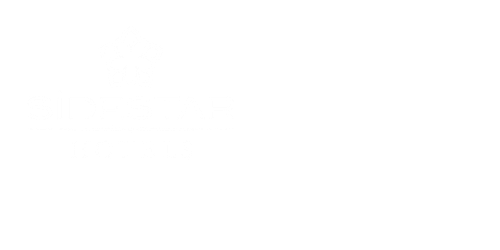 Logo_Side Star_links (klein).png